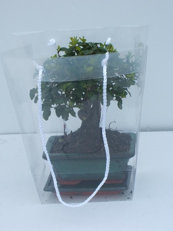 供应荷兰鲜花包装袋